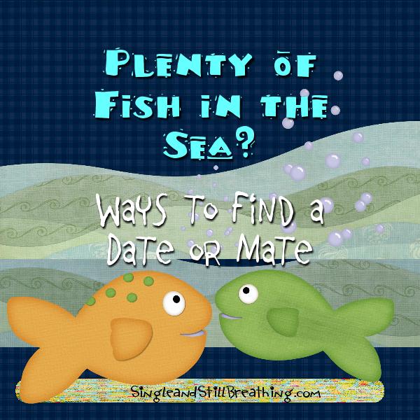 SOCIAL: Dating and Friendship, Plenty of Fish in the Sea? Ways to Find a Date or Mate, Mr. / Ms. Right, SingleandStillBreathing.com